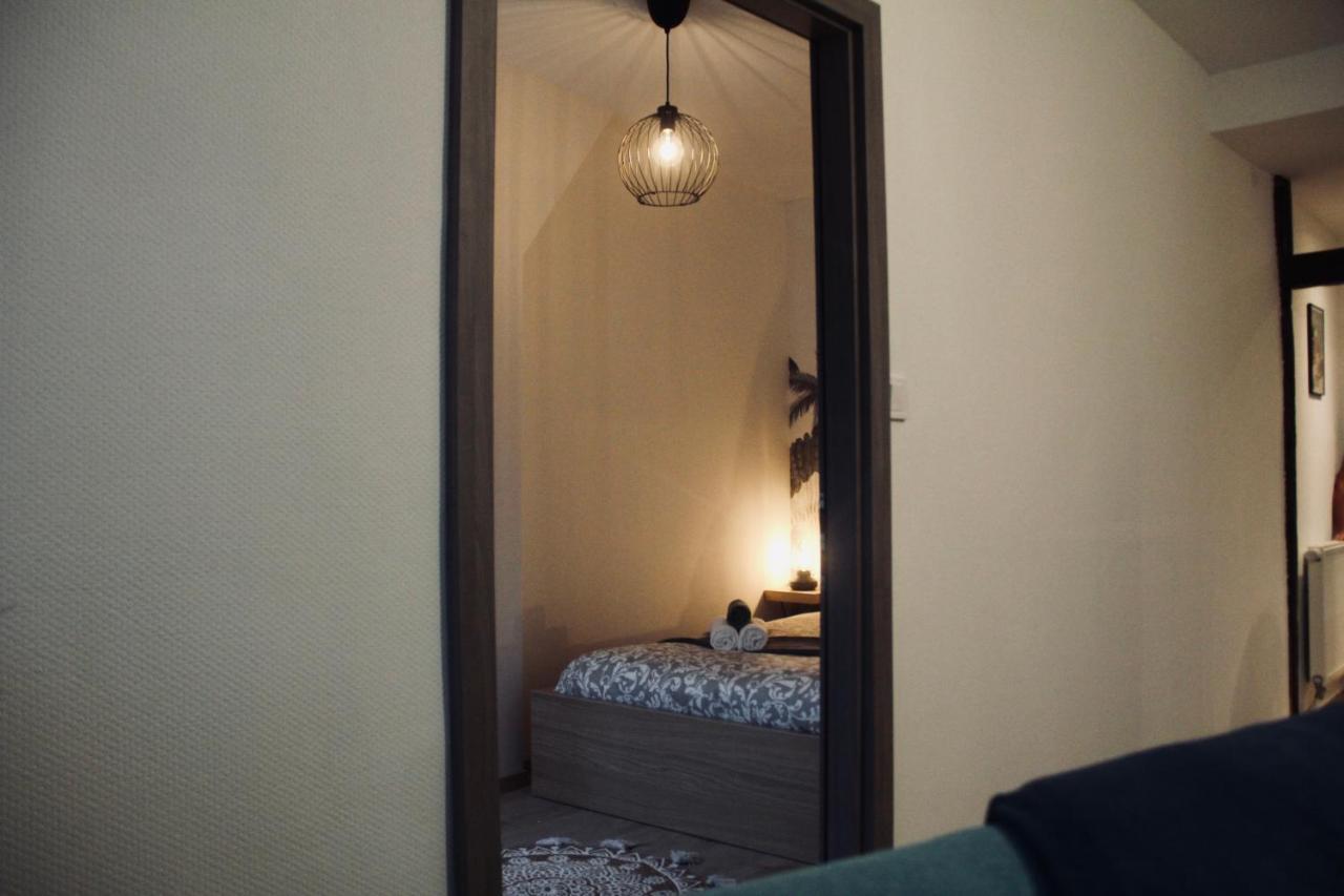 Apartmán New Le Cocon Des Humanistes Sélestat Exteriér fotografie
